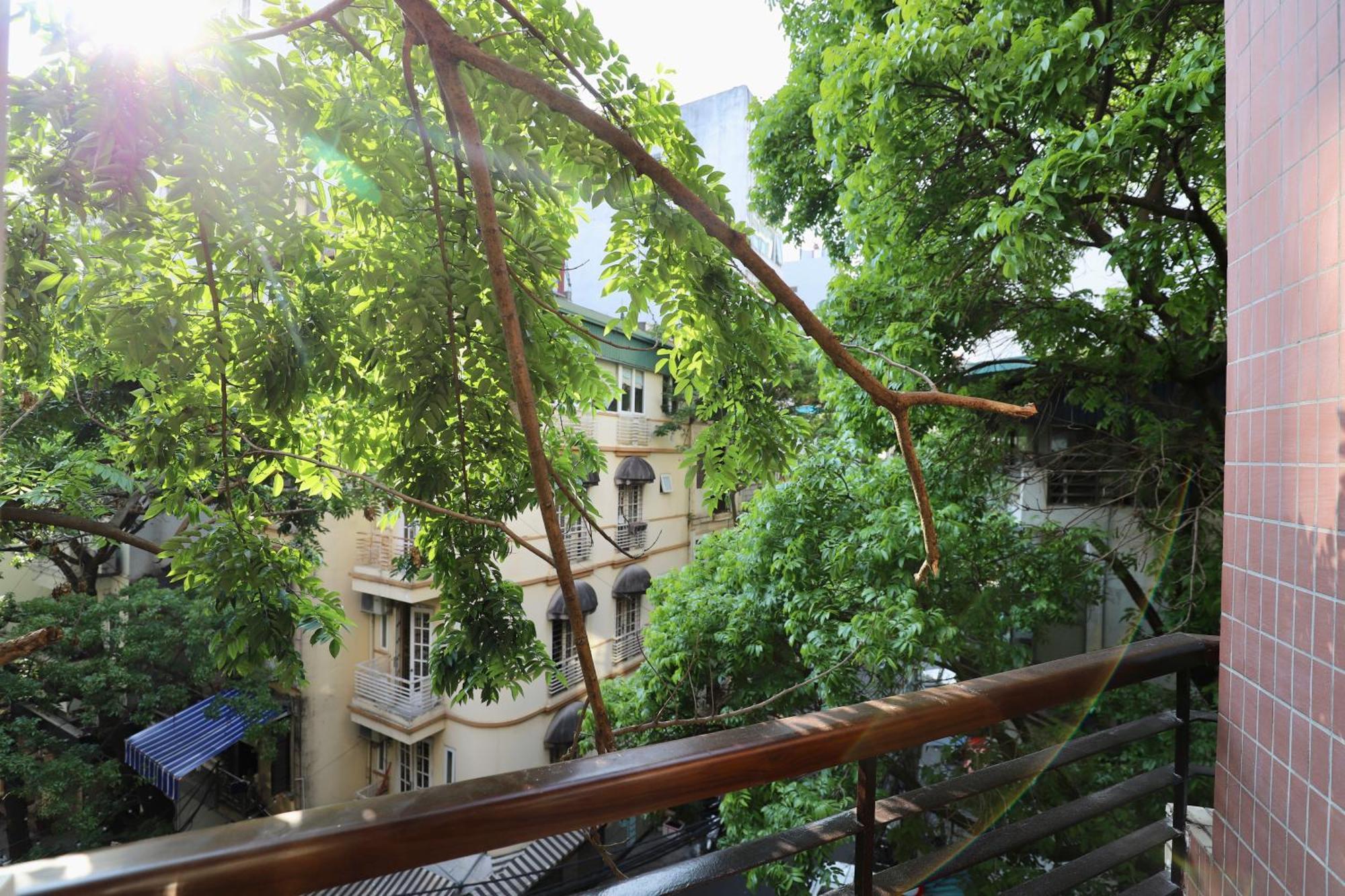 Maison Nha 51A Nguyen Khac Hieu Hanoi Dış mekan fotoğraf